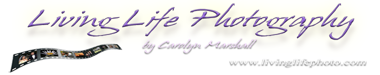 Living Life Photography