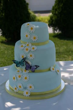[Laura's+butterfly+wedding+cakes.jpg]