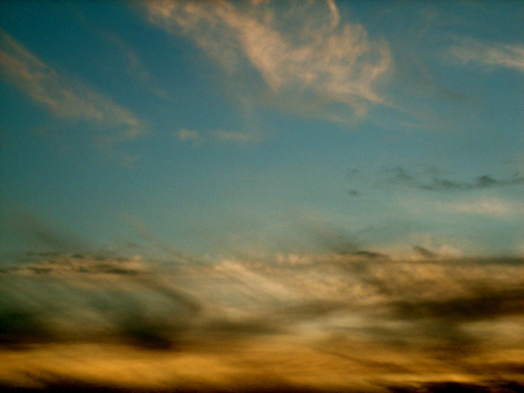[IMG_8639.JPG]