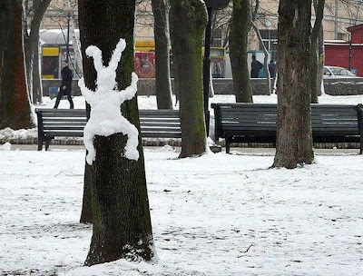 [Image: snow+bunny+2.jpg]