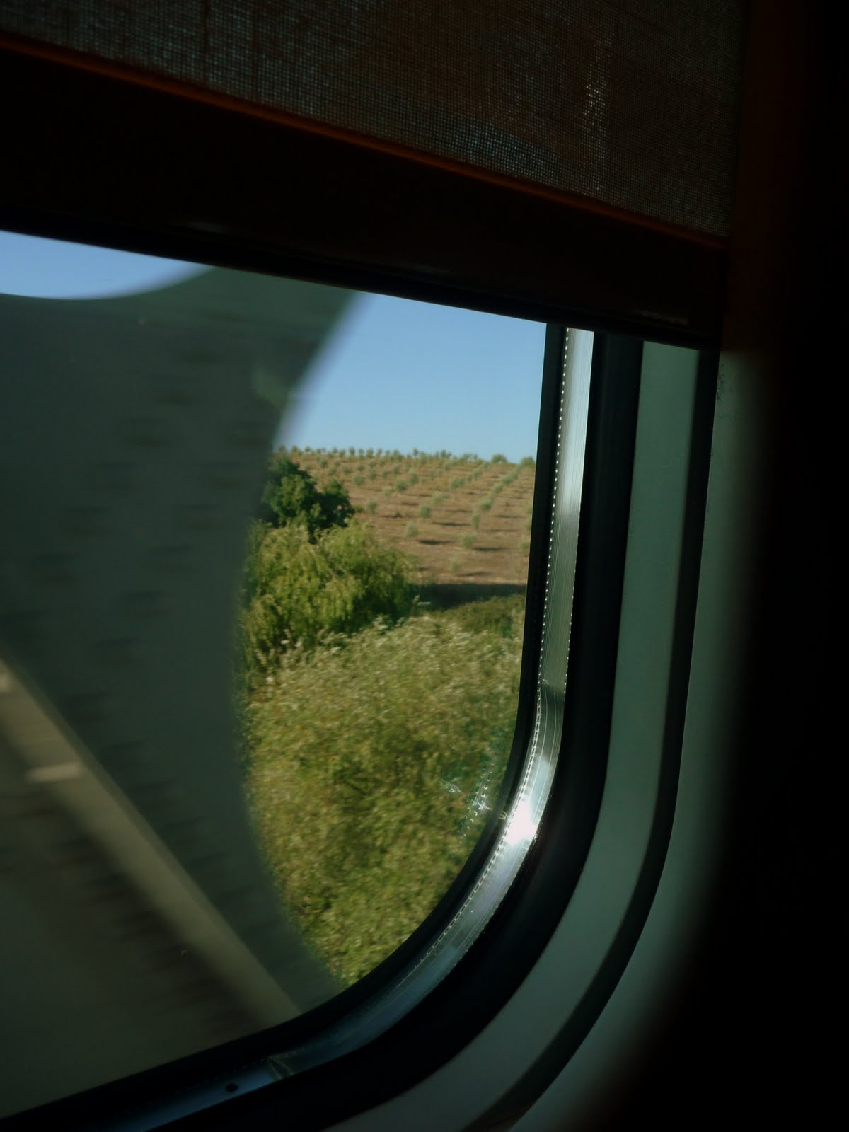 [P1010610.JPG]