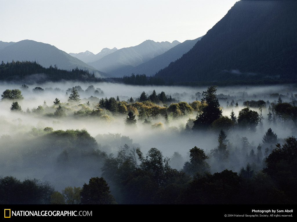 [valley+fog.jpg]