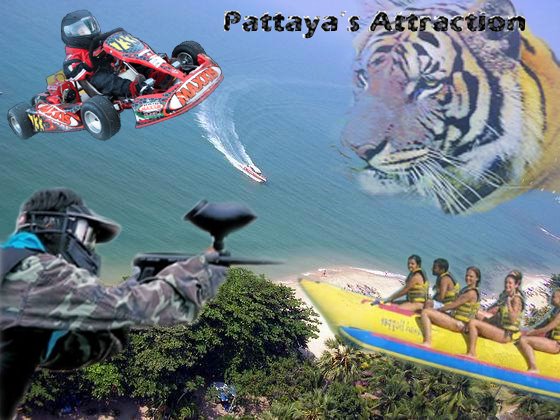Pattaya's Attraction