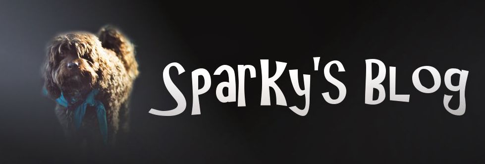 Sparky's Blog