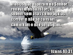 ! Os que Confiam no Senhor !