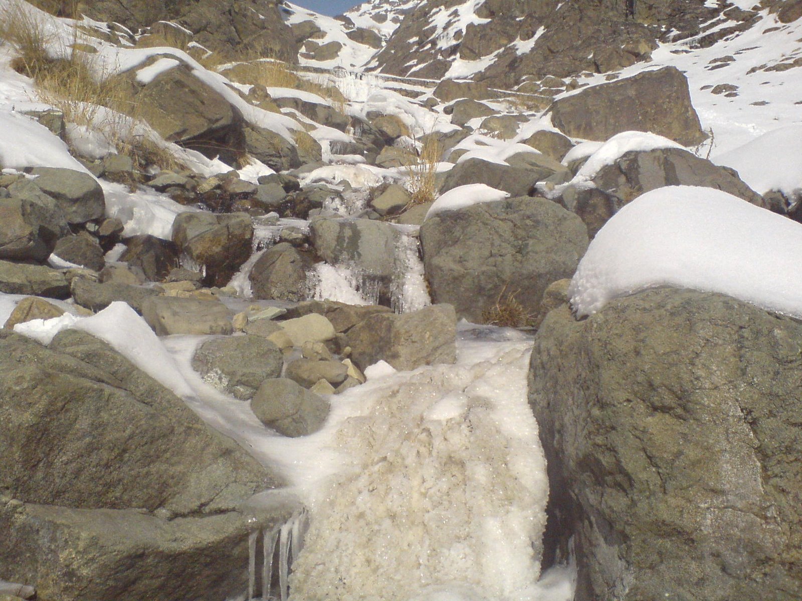 [DSC00111.JPG]