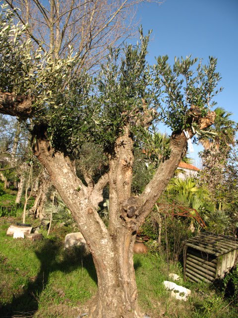 [IMG_0047.JPG]