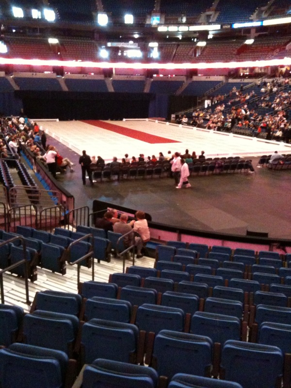 [photo+3-1-783309.jpg]