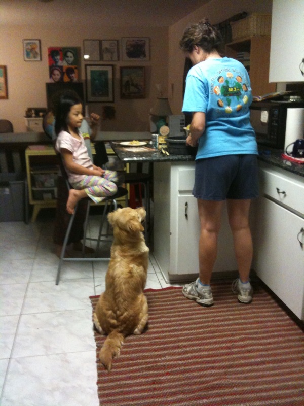 [photo+2-737878.jpg]