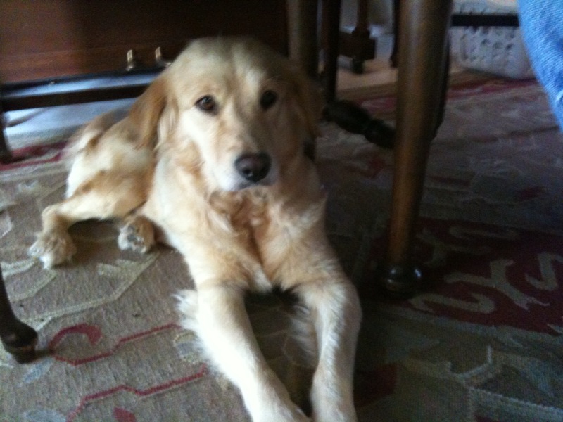 [photo+4-731435.jpg]