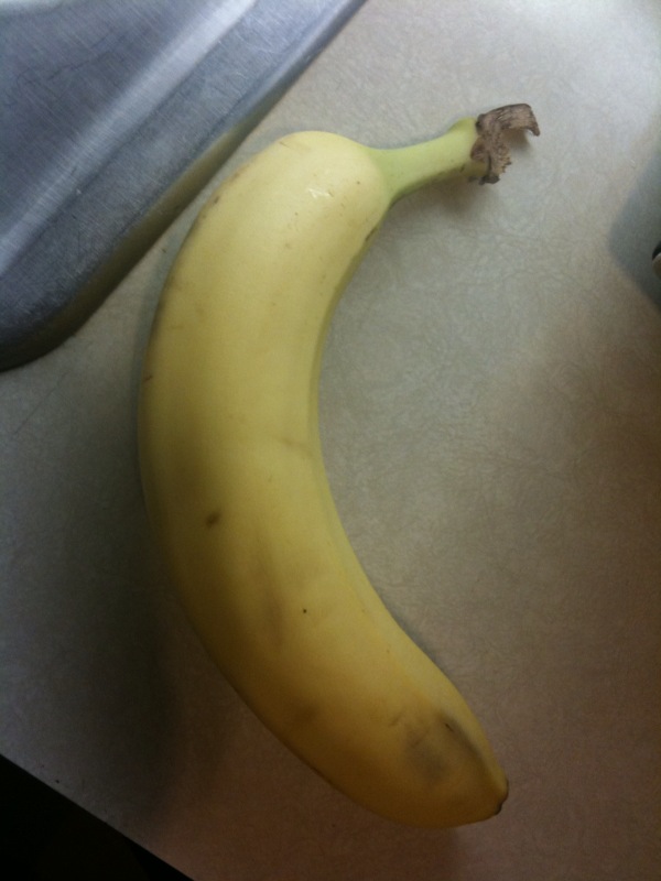 [photo+4-758831.jpg]