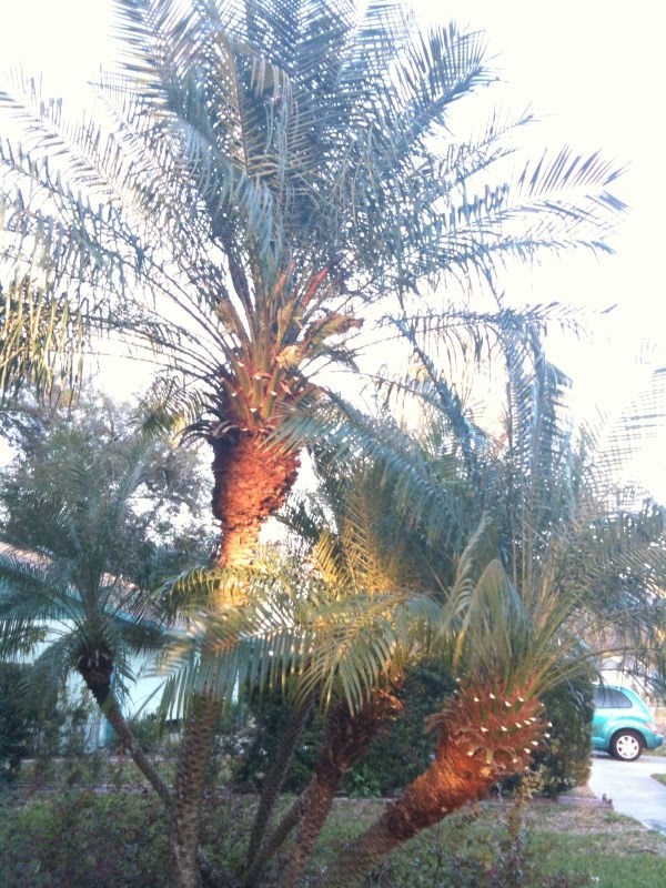 [photo+3-733680.jpg]