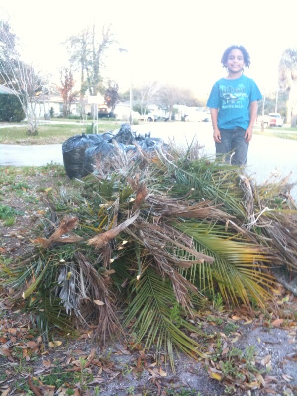 [photo+5-737039.jpg]