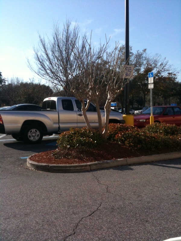 [photo+3-726518.jpg]