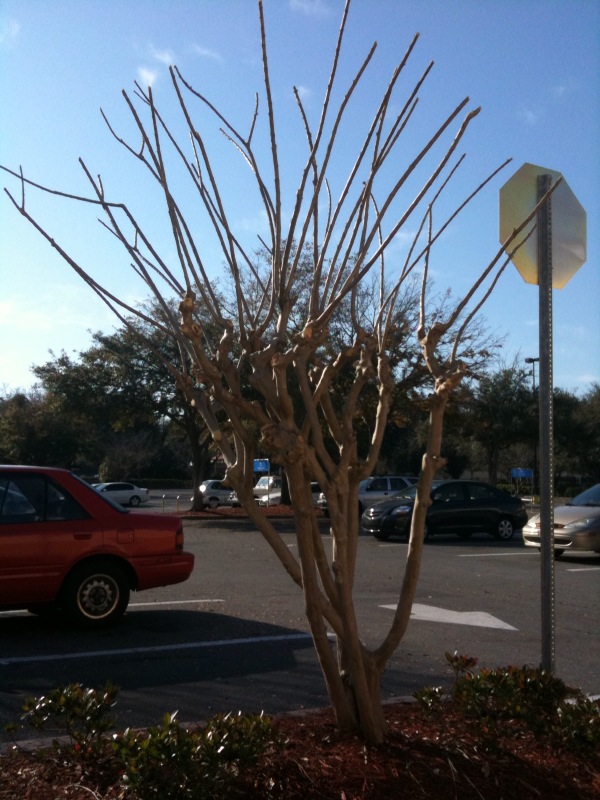 [photo+4-728348.jpg]