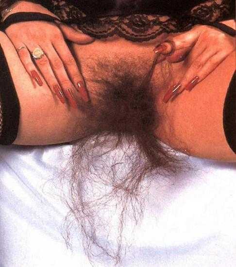 [mulher+peluda_3.jpg]