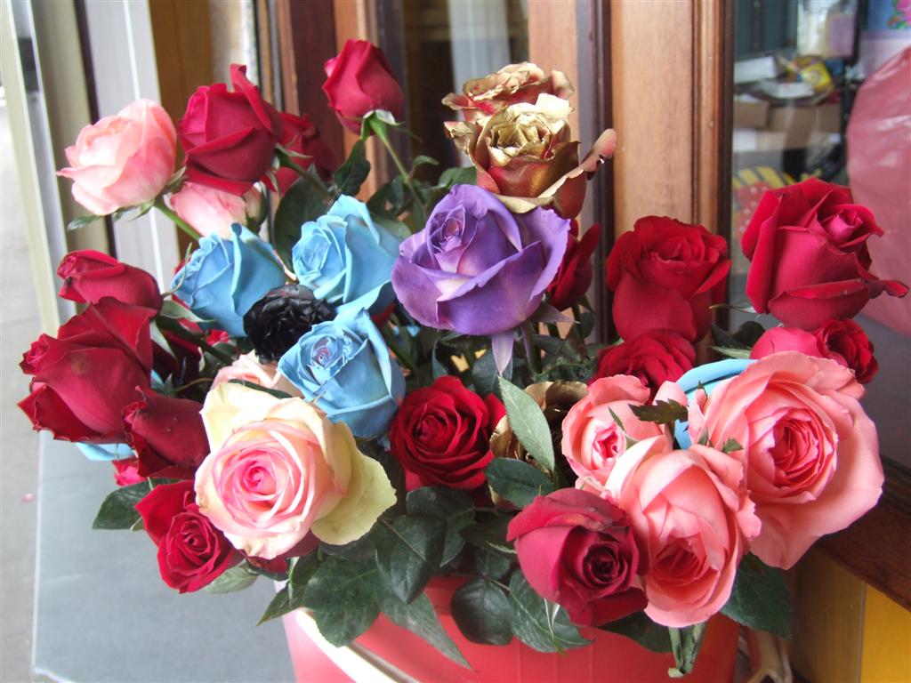 [Valentine+06+(Large).JPG]