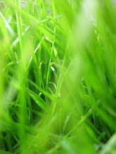 Barfota i gräset