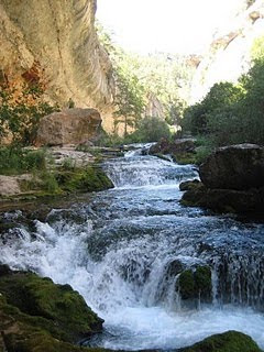 regalet de la meua amiga Lansbury