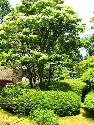 Running With Rocket: Japanese Garden Inspiration