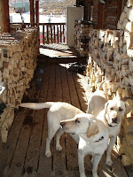 Manchac & Maurepas