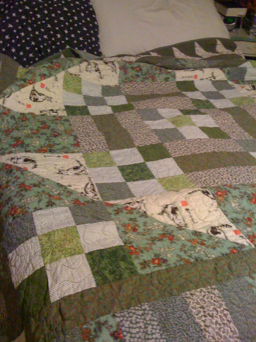 Big Border Quilt