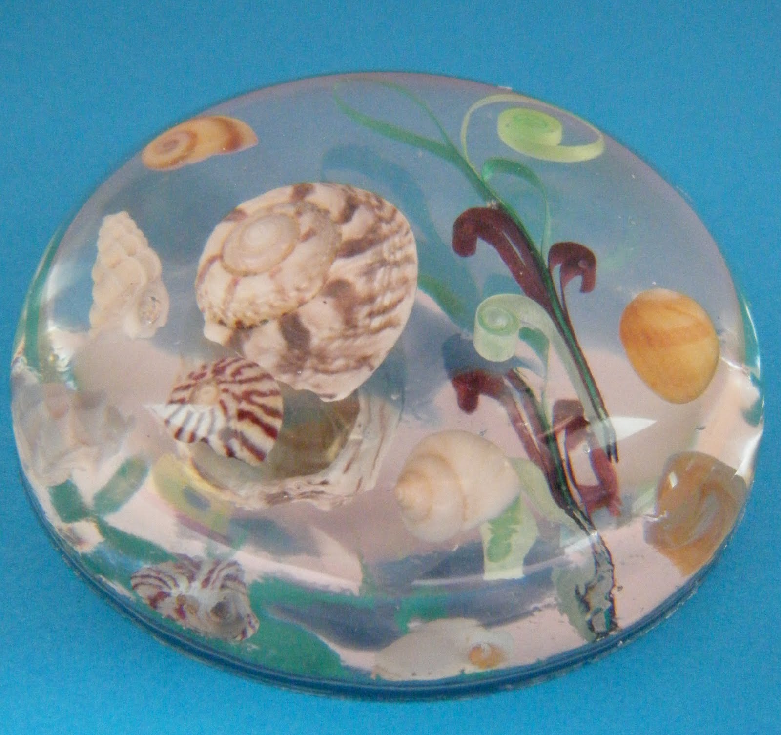 Quilliance Resin paperweight with quilled seaweed and real sea shells