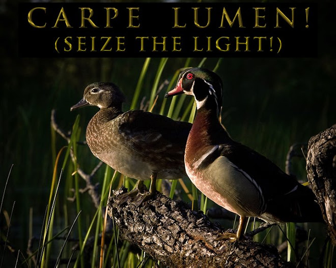 Carpe Lumen! (Seize the Light!)