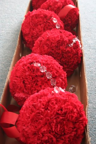 Carnation Pomander Balls