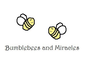 Bumblebees and Miracles