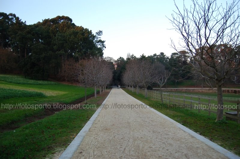 [foto_2006-01-22_17-23-32.JPG]