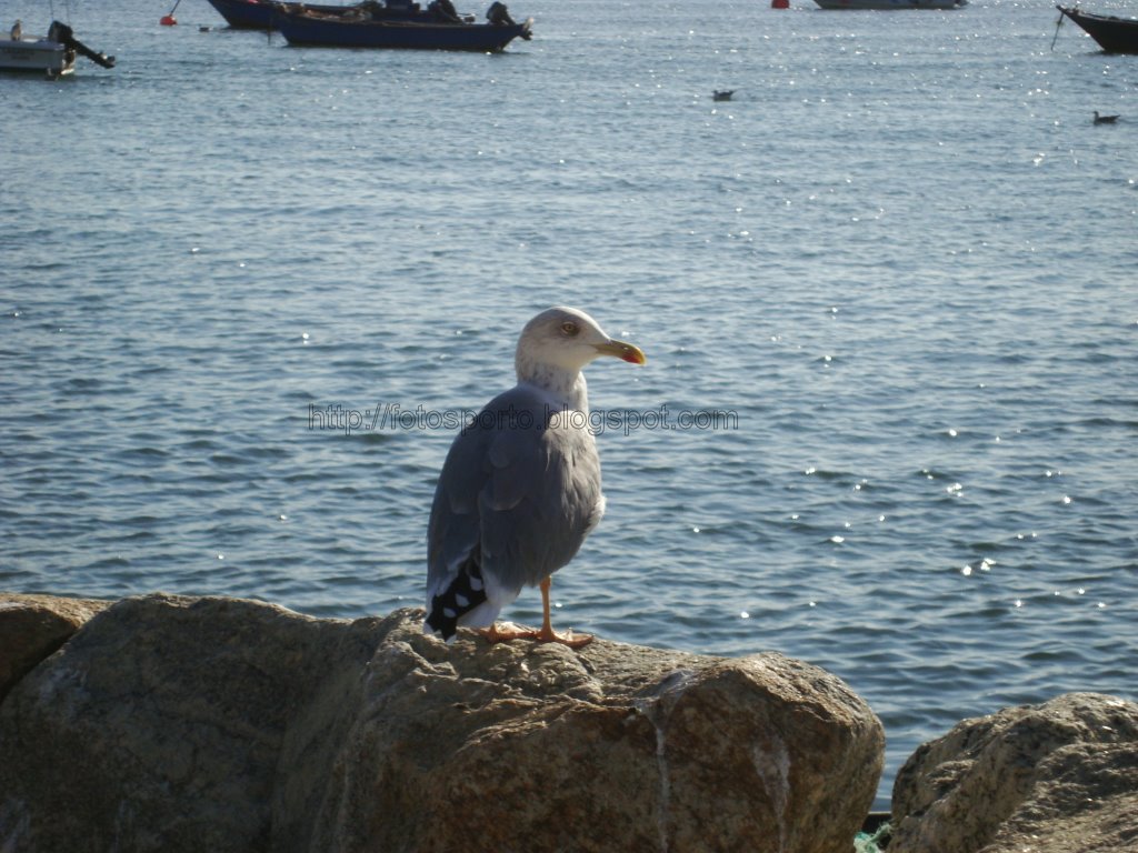 [DSC01951.JPG]