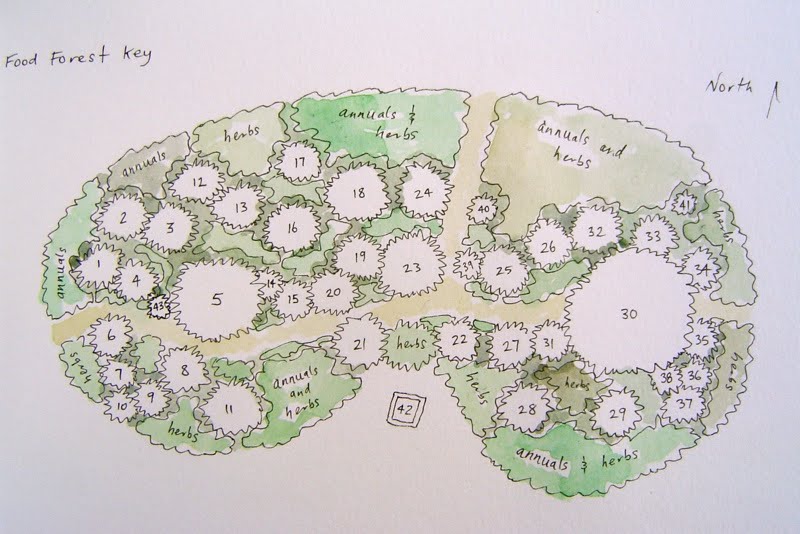 aaf plan garden