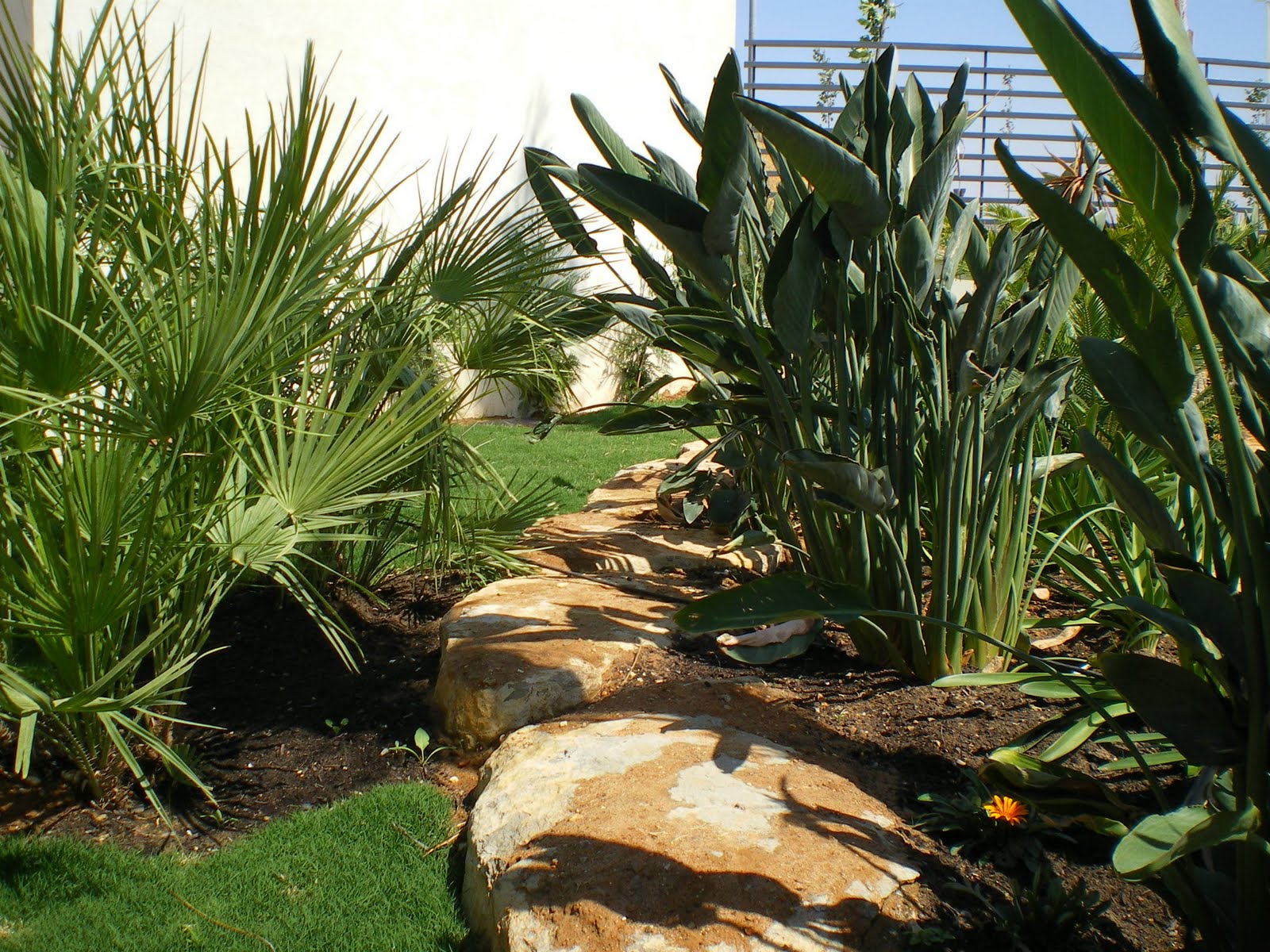 Francisco Cruz - Agricultura, Paisajismo, Césped deportivo: Urb. El Recreo