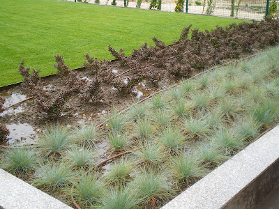 Francisco Cruz - Agricultura, Paisajismo, Césped deportivo: Perfección