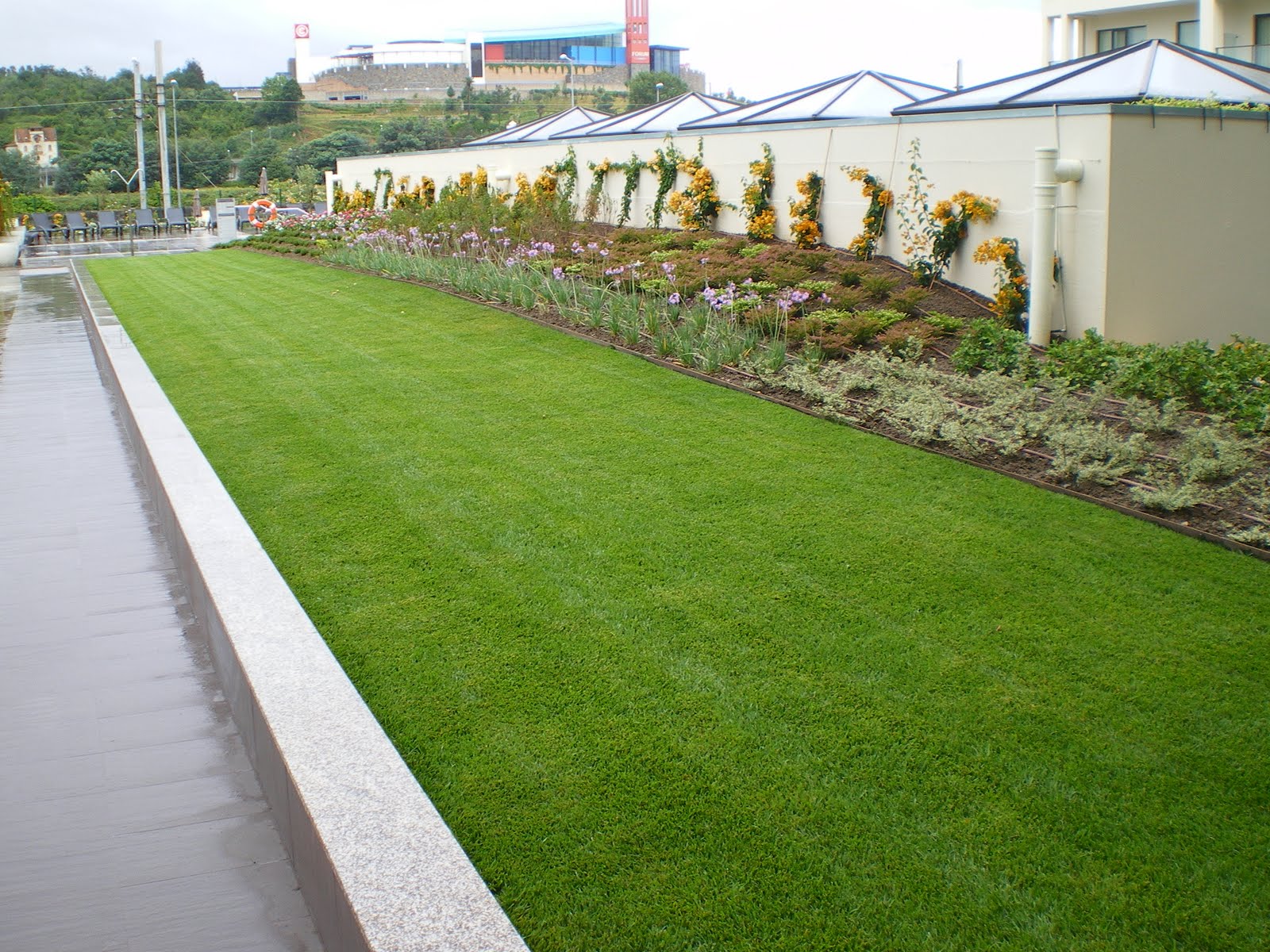 Francisco Cruz - Agricultura, Paisajismo, Césped deportivo: 06/01/2010