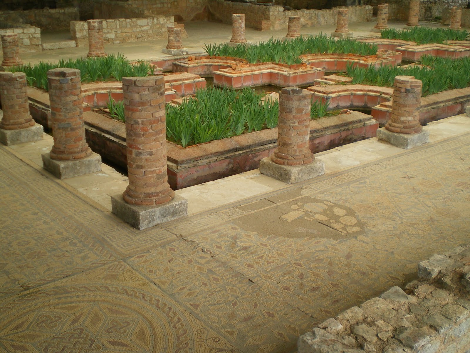 Francisco Cruz - Agricultura, Paisajismo, Césped deportivo: Jardín