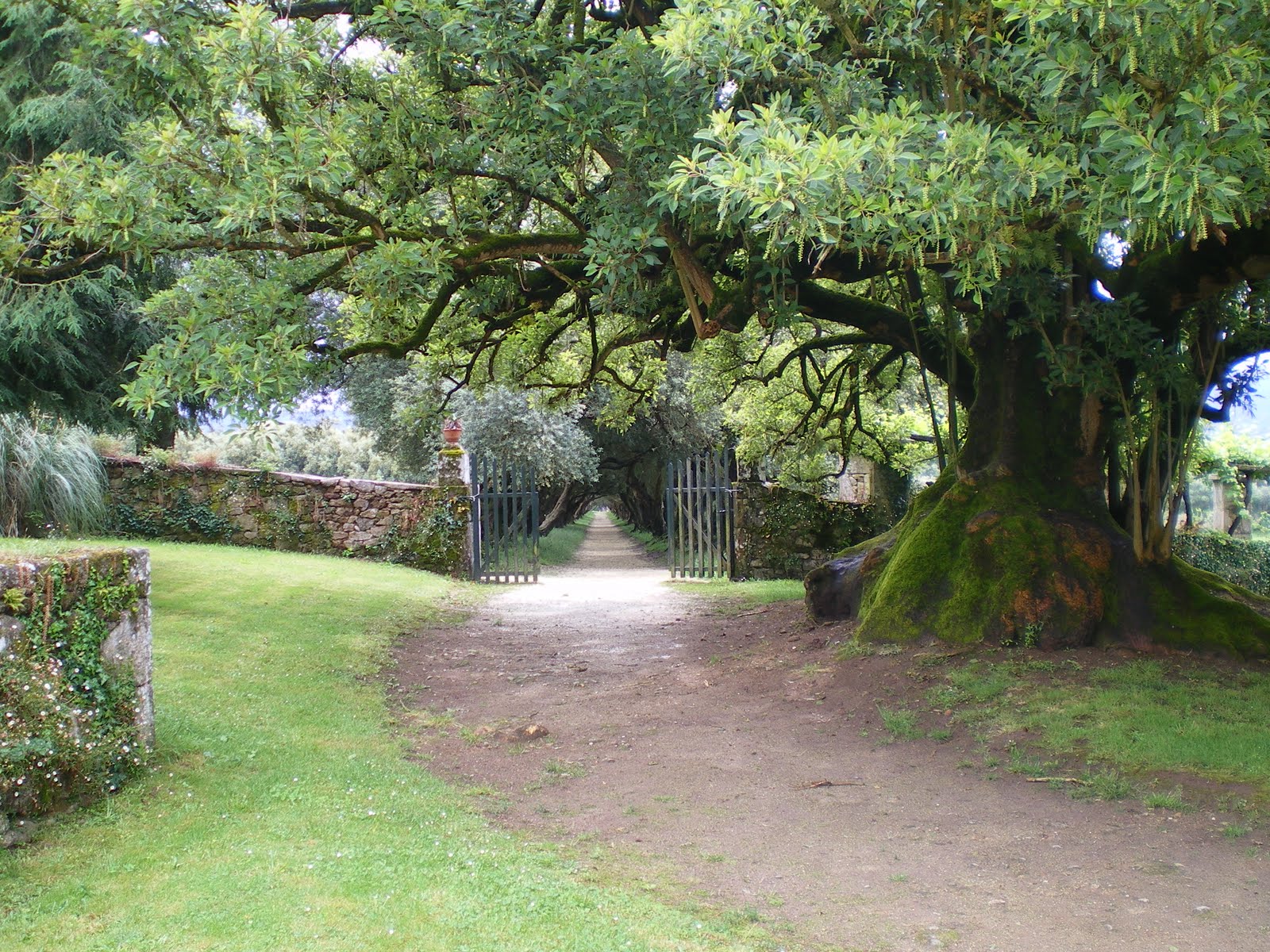 Francisco Cruz - Agricultura, Paisajismo, Césped deportivo: 08/01/2010