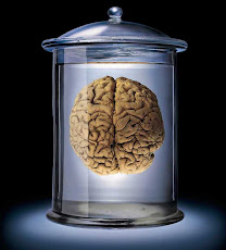 Brain in a jar