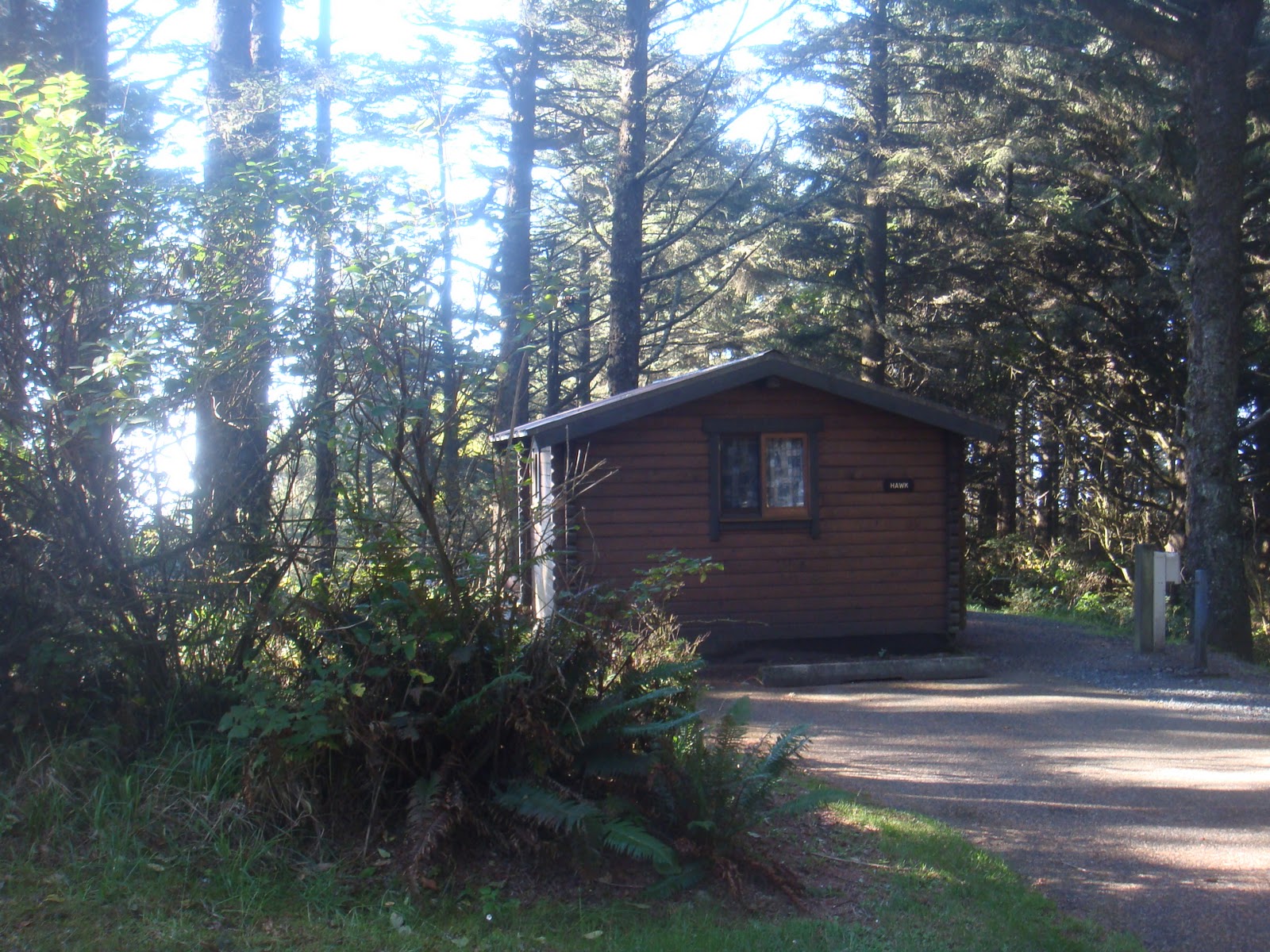 The Road Taken Morning On Cape Blanco Beach Sept 30