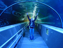 Sydney Aquarium