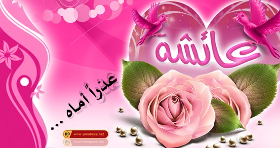 طلب علم عائشة (أم المؤمنين) طلب علم عائشة (أم المؤمنين)