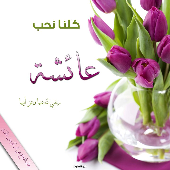 طلب علم عائشة (أم المؤمنين) طلب علم عائشة (أم المؤمنين)