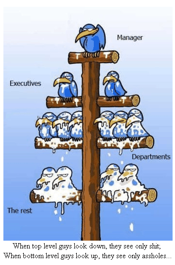 Corporate+Flowchart.gif
