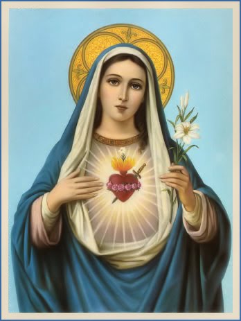 Roman Catholic Blogger: Act Of Reparation to the Blessed Virgin Mary