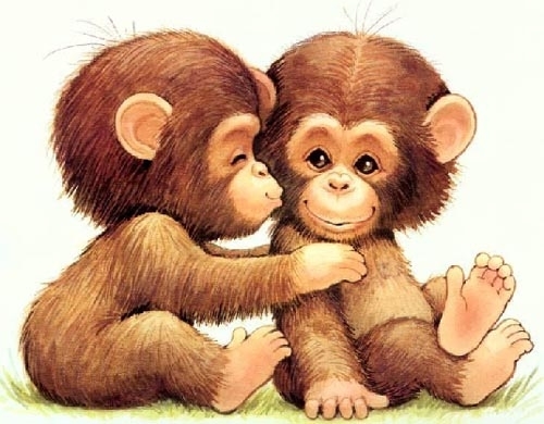 monkey.jpg