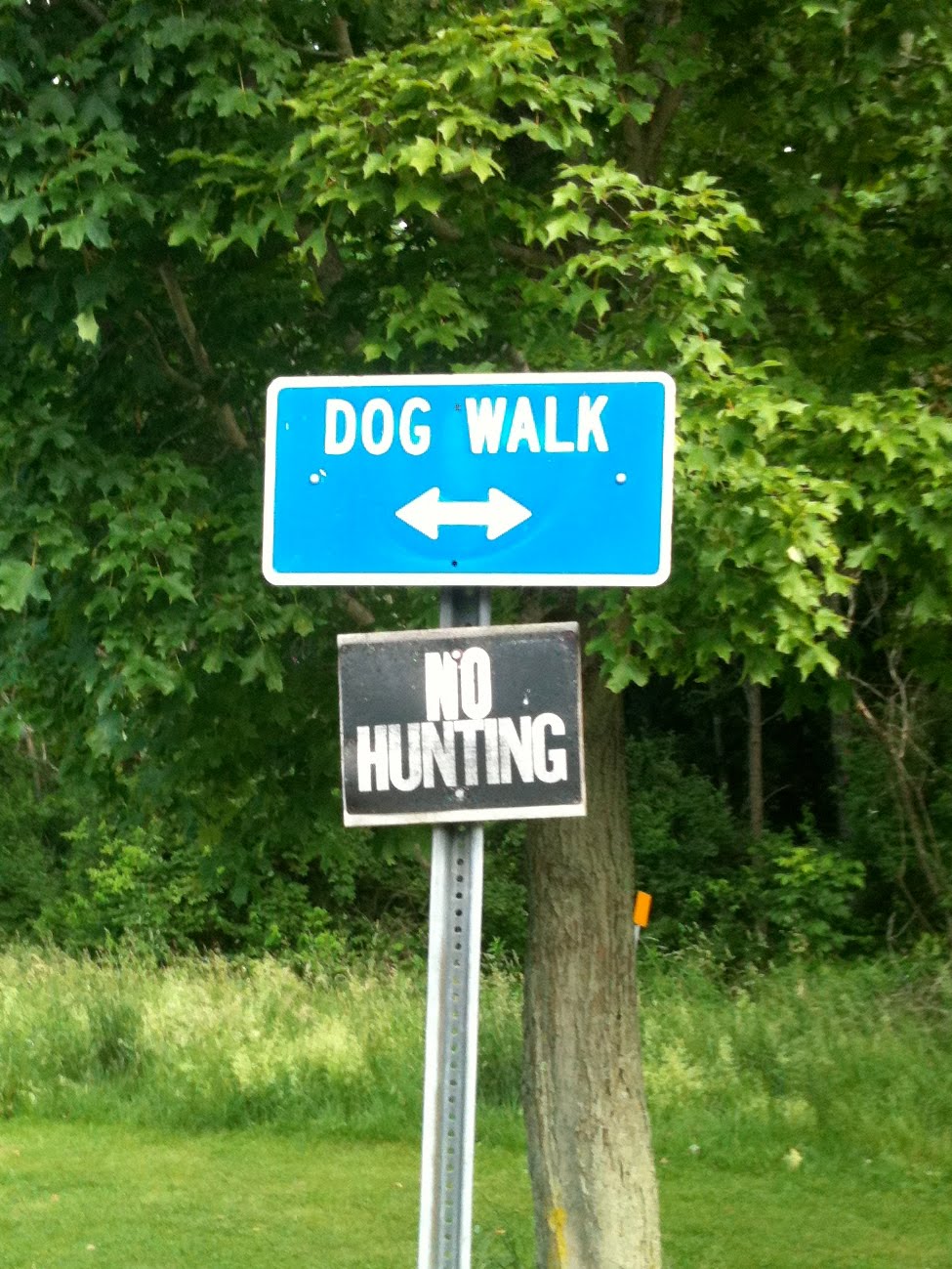 STATS DAD Youth Baseball Cooperstown Dreams Park Tips and Tricks (Part 2)