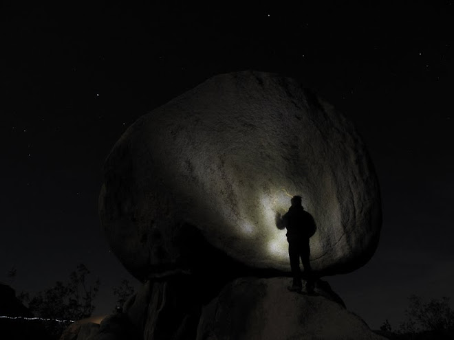 AS SEEN AROUND JOSHUA TREE NATIONAL PARK, March '10. . . .