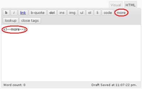 Como apresentar só os resumos dos posts na página inicial em WordPress 2