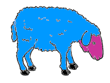 BLUE SHEEP